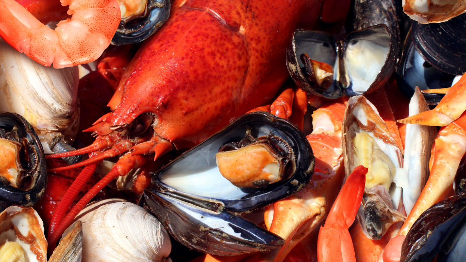 Deversos tipos de crustáceos, como camarão, caranguejo e lagosta.
