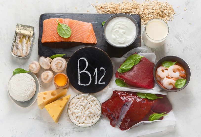 alimentos fontes de vitamina b12